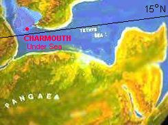 Marine life movements between the Cretaceous, Jurassic, Mesozoic, Triassic and modern periods of Britain, inc dinosaurs.