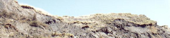 Photographs of mud flows where nodule hunting takes place.
